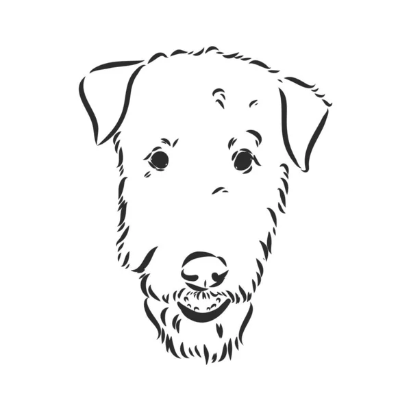 Airedale Terrier Dog. disegnato a mano. Illustrazione vettoriale — Vettoriale Stock