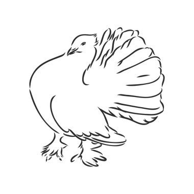 Gerçekçi el kumrusu. Tasarımınız için vektör illüstrasyonu veya ögesi.