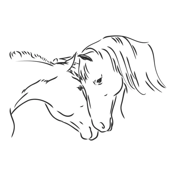 Paarden in de liefde lijn kunst, tribal. Vrije hand vector illustratie. Paardenhart. — Stockvector