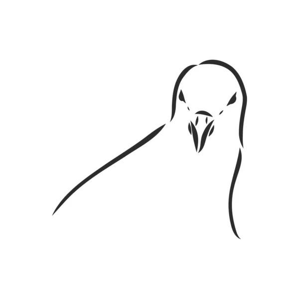 現実的な手を鳩を描いた。あなたのデザインのためのベクトルイラストまたは要素. — ストックベクタ