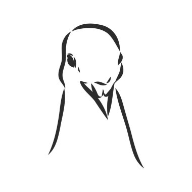 Gerçekçi el kumrusu. Tasarımınız için vektör illüstrasyonu veya ögesi.