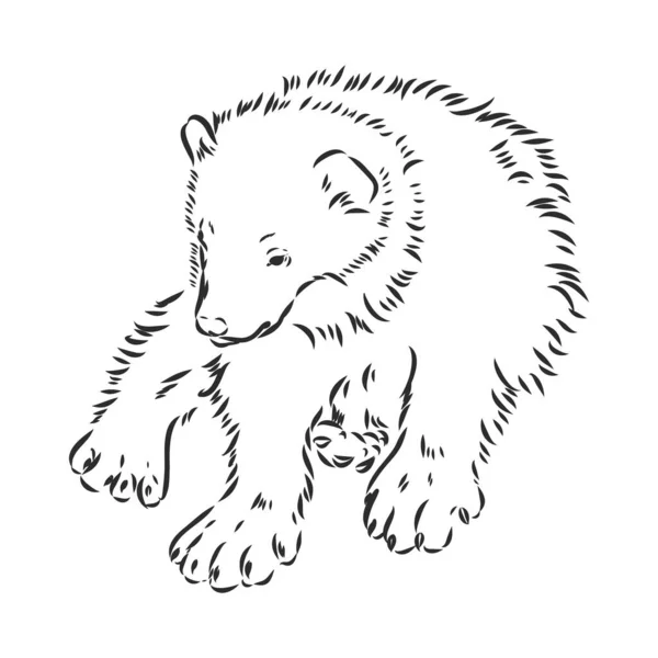 Διανυσματικό χέρι σκίτσο απεικόνιση ενός wolverine γίνεται σε μαύρο και άσπρο — Διανυσματικό Αρχείο