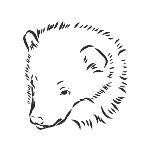 Desenho de esboço de mão vetorial ilustração de um lobo feito em preto e branco —  Vetores de Stock