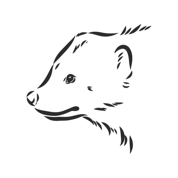 Desenho de esboço de mão vetorial ilustração de um lobo feito em preto e branco — Vetor de Stock