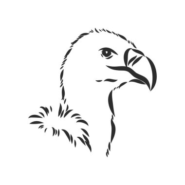 Griffon akbaba. Yırtıcı vahşi orman kuşu. El çizilmiş kroki grafik stili. Moda yama. T-shirt, dövme veya rozetler için baskı.