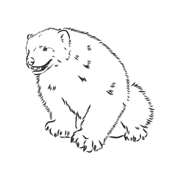 Desenho de esboço de mão vetorial ilustração de um lobo feito em preto e branco —  Vetores de Stock