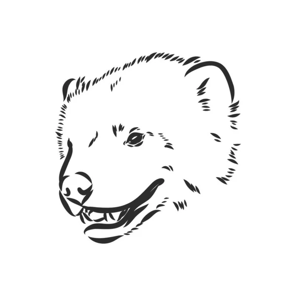Vektorový ruční náčrt kresba ilustrace rosomáka v černé a bílé — Stockový vektor