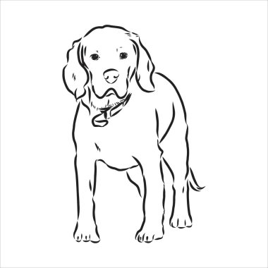 Beagle profilinde durmanın dekoratif portresi, beyaz arkaplanda siyah renkle izole edilmiş vektör çizimi