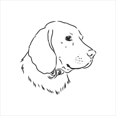 Beagle profilinde durmanın dekoratif portresi, beyaz arkaplanda siyah renkle izole edilmiş vektör çizimi