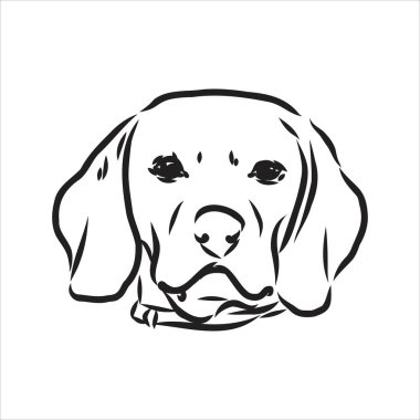 Beagle profilinde durmanın dekoratif portresi, beyaz arkaplanda siyah renkle izole edilmiş vektör çizimi
