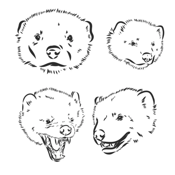 Desenho de esboço de mão vetorial ilustração de um lobo feito em preto e branco —  Vetores de Stock