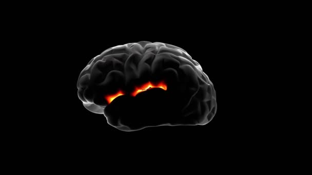 Человеческий мозг на черном изолированном фоне, сияющая красная боль. Концепция здоровья и заболеваний при инсульте, стрессе, головной боли, депрессии, Альцгеймере, раке мозга. Идея мозгового штурма, 3d дизайн — стоковое видео