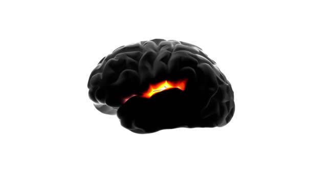 Mänsklig hjärnskada, röd inflammatorisk process på en isolerad vit bakgrund, begreppet sjukdom eller hjärnaktivitet, smärta eller brainstorming tanke idé, diagnos av stroke, infektion, tumör, trauma — Stockvideo