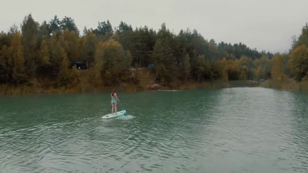 Vista aérea da jovem mulher de biquíni stand up on sup board paddle, atividades aquáticas, recreação esportiva, férias de verão. Surfista no inflável para o remo que flutua no rio ou no lago com praia e árvores — Vídeo de Stock