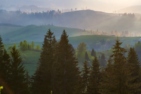 Carpates vue sur la montagne — Photo