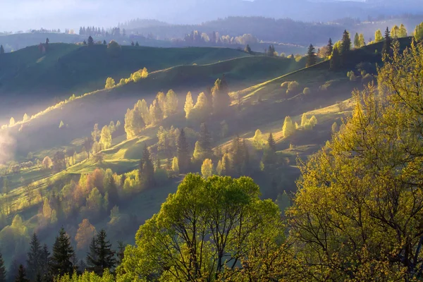 Dağ hills göster — Stok fotoğraf