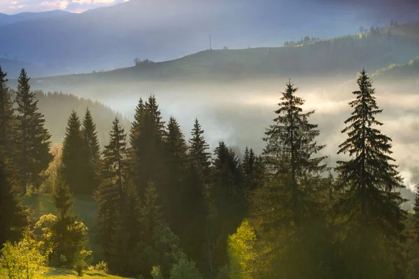 Dağ hills göster — Stok fotoğraf