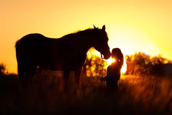 Flickan och hästen silhuette — Stockfoto