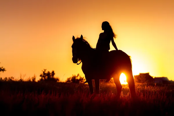 Menina e cavalo silhuette — Fotografia de Stock