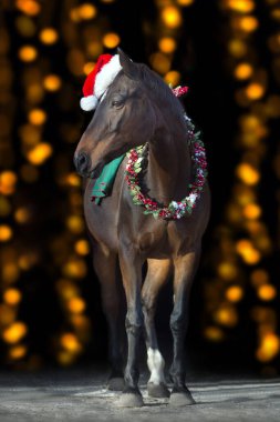 Yılbaşı çelengiyle Noel ışıklarına karşı Bay Horse portresi