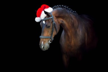 Siyah arka planda Noel süslemesinde Bay Horse
