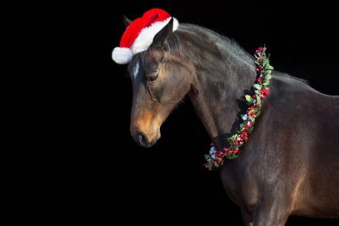 Siyah arka planda Noel süslemesinde Bay Horse