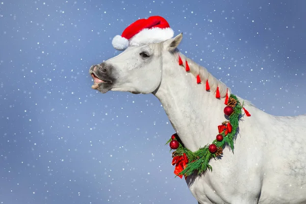 Cavallo Bianco Nella Corona Decorazione Natale Giorno Neve Invernale — Foto Stock