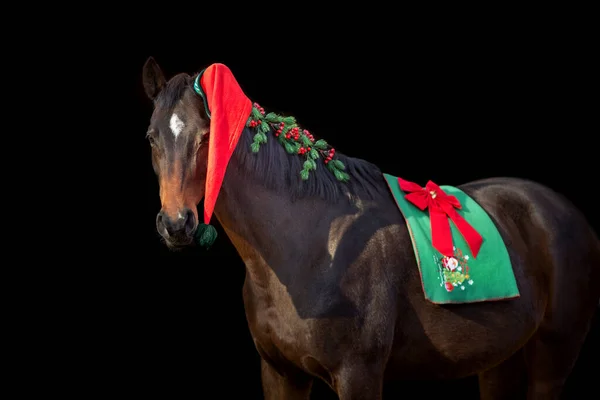 Bay Paard Kerst Decoratie Zwarte Achtergrond — Stockfoto