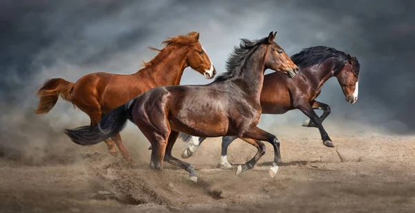 Manada Cavalos Galopando Deserto — Fotografia de Stock