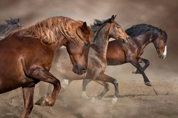 Horse Herd Galloping Desert — Stock Photo, Image
