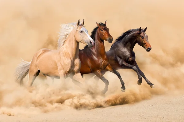 Paard uitgevoerd — Stockfoto