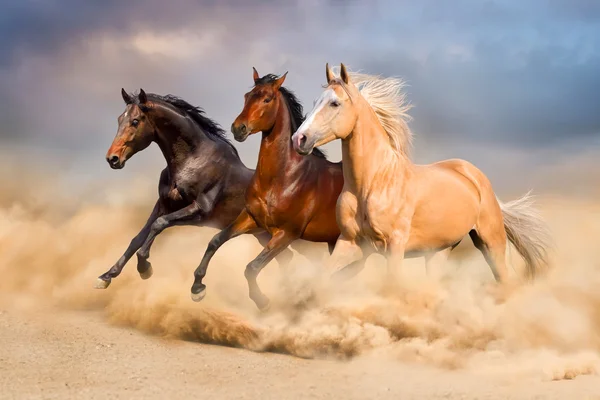 Paard uitgevoerd — Stockfoto