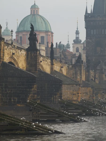 Prag 'daki Charles Köprüsü — Stok fotoğraf