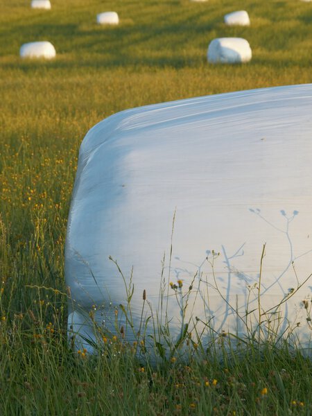 Bales of hay