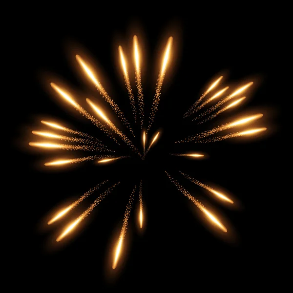 Vector realistic fireworks — Stock Vector