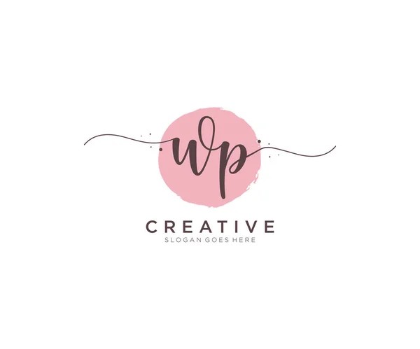 Feminine Logo Schönheit Monogramm Und Elegantes Logo Design Handschrift Logo — Stockvektor