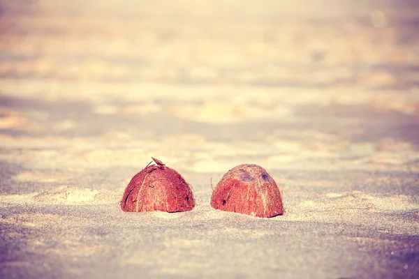 Vintage tonat kokosnöt halvor på stranden, kort skärpedjup — Stockfoto