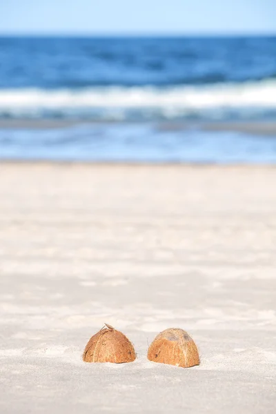 Mitades de coco en una playa, poca profundidad de campo — Foto de Stock