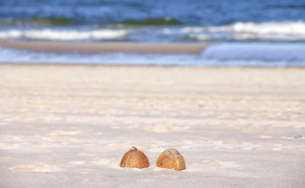 Mitades de coco en una playa, fondo de la naturaleza — Foto de Stock