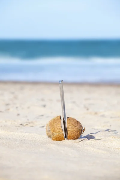 Coconut cut in half with knife on a beach. — Stock Photo, Image