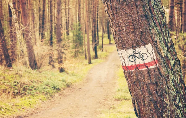 Señal de bicicleta retro tonificada pintada en un árbol en el bosque . —  Fotos de Stock