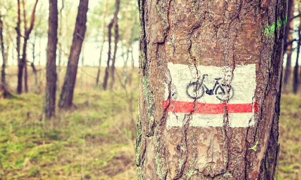 Señal de bicicleta retro tonificada pintada en un árbol en el bosque —  Fotos de Stock