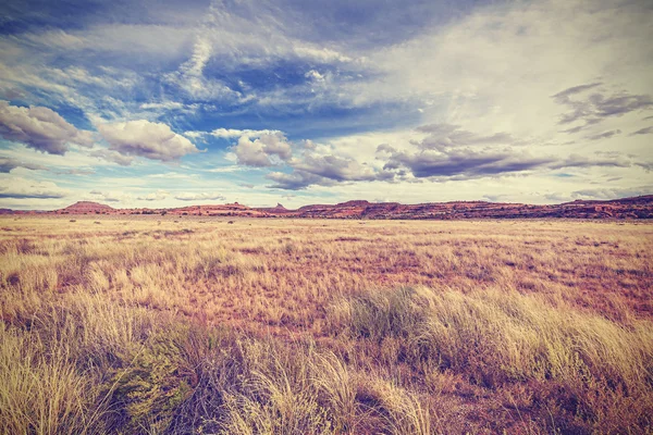 Paysage vintage rétro stylisé, États-Unis — Photo