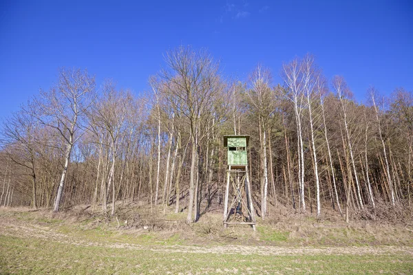Pulpito da caccia ai margini di una foresta in primavera, Polonia — Foto Stock