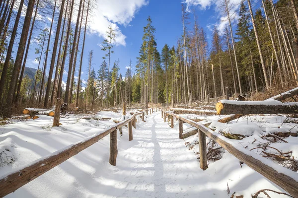 Poręcz drewniana na ścieżki piesze wycieczki w Tatry. — Zdjęcie stockowe