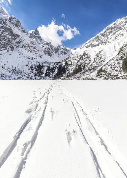 Längdskidor spår på snö. — Stockfoto