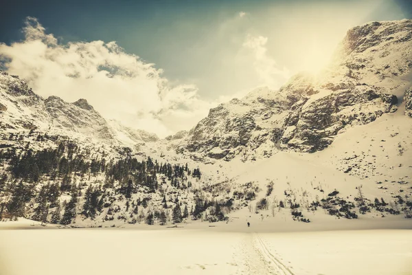 Retro eski film tarzı resim Tatra Dağları güneşe karşı. — Stok fotoğraf