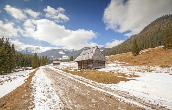 Holzhütten an einem Feldweg in der Tatra. — Stockfoto