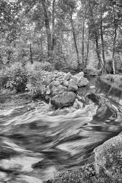 Μαύρο και άσπρο φωτογραφία από ένα ποτάμι λυγίσει στο δάσος. — Φωτογραφία Αρχείου