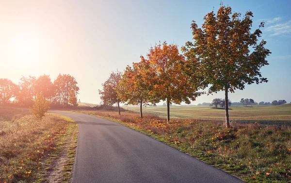 Scenic Asfalt Landweg Bij Zonsondergang — Stockfoto